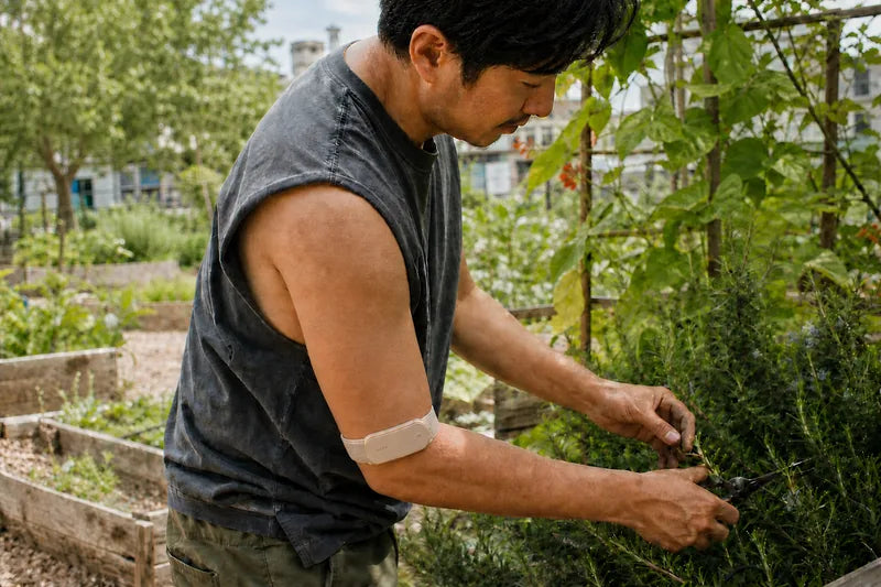 Gardener wearing Mura Band while tending herbs outdoors